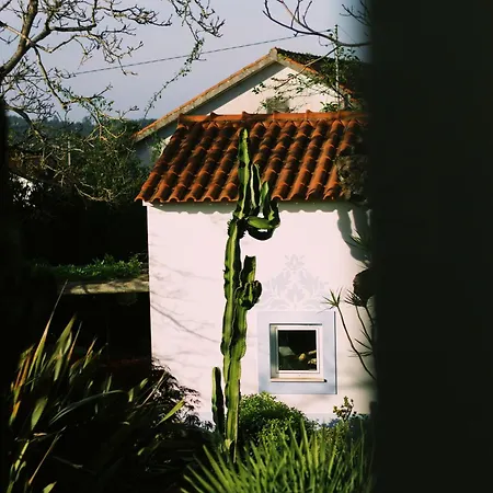 Apartment Casa Oliva