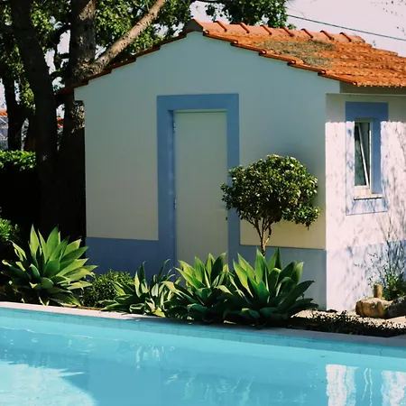 Casa Oliva Apartment